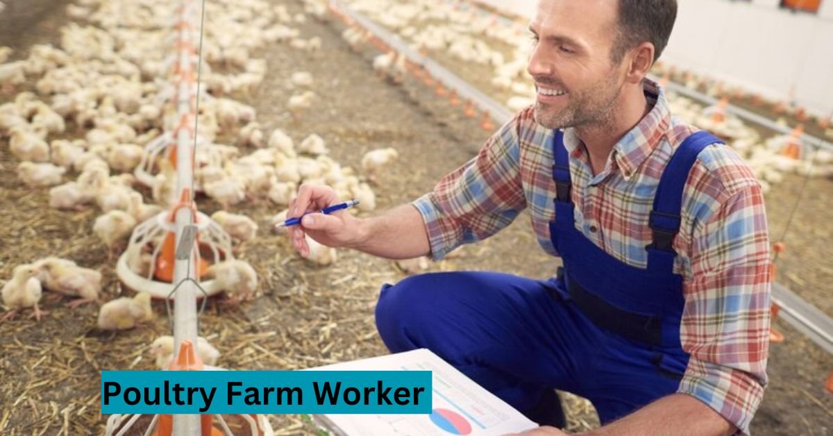 Poultry Farm Worker Jobs in Canada