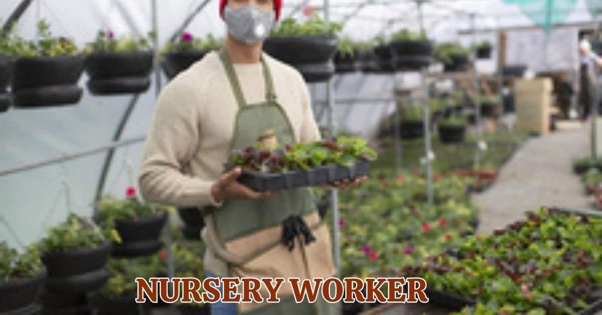 Nursery Worker Jobs in New Zealand