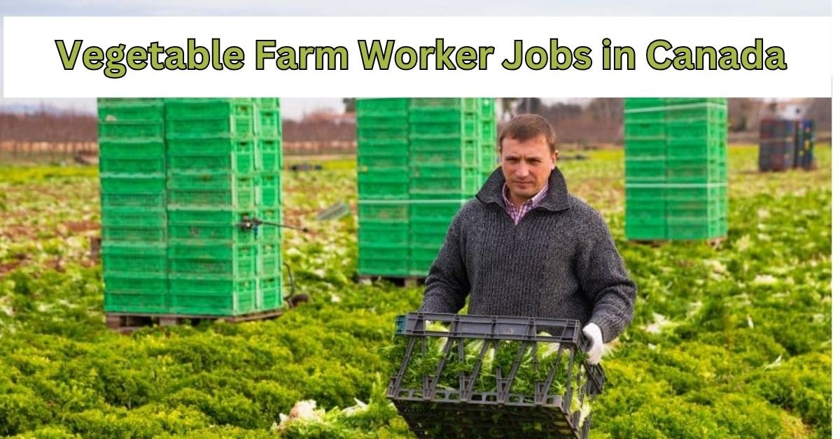 Vegetable Farm Worker Jobs in Canada