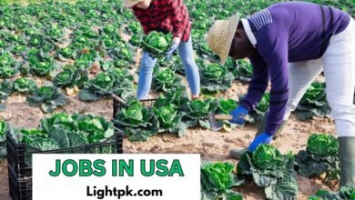 Vegetable Farm Worker Jobs in USA