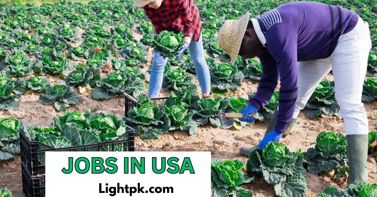 Vegetable Farm Worker Jobs in USA