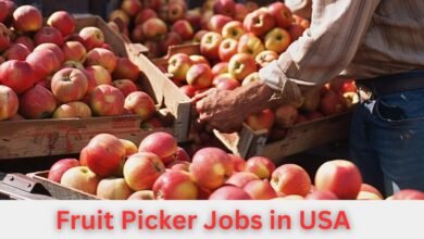 Fruit Picker Jobs in USA