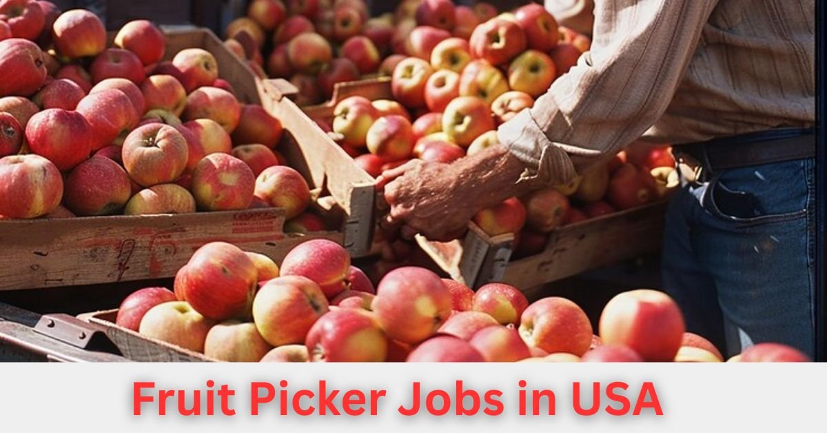 Fruit Picker Jobs in USA